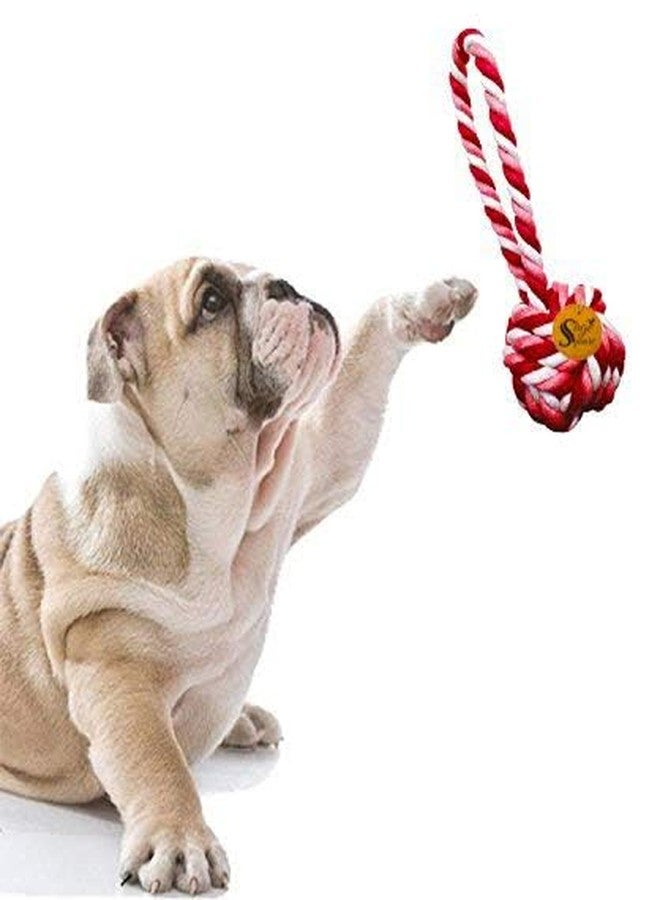 سايج سكوير لعبة حبل طبيعي مربعة الشكل للكلاب من سيج، لعبة شد ومضغ للاستخدام اليومي، مرحة، للتمرين، والتسلق للكلاب/الجراء/القطط/القطط الصغيرة (أحمر) - Image 1